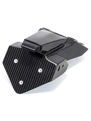 Carbon parts for BMW S1000 RR from 2019