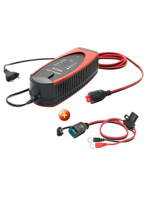 Set: ProCharger 4.000 battery charger
