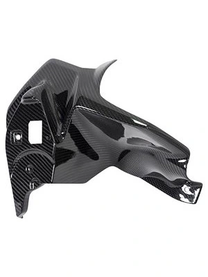 Carbononderd. v. BMW R1250 GS/Adventure