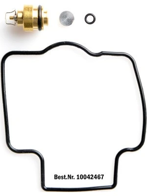 Vergaser-Reparatur-Kit