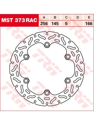 Bromsskivor Racing, bak, typgodkännande