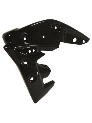 Carbon parts Triumph Speed Triple 11-15