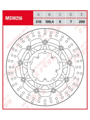 Dischi freno racing anteriori, con ABE
