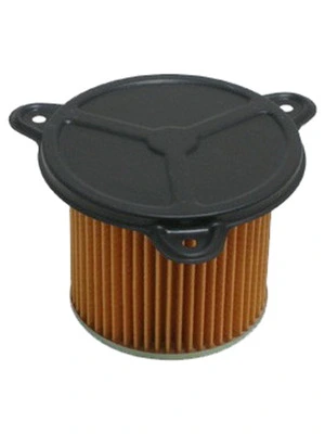 MIW AIR FILTER H1167