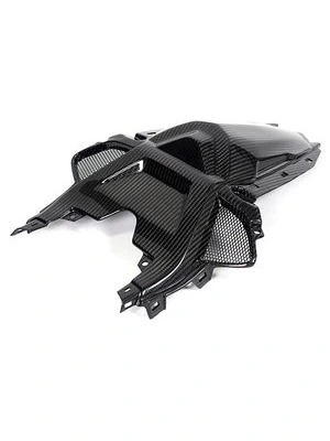 Carbon parts for BMW S1000 RR from 2019