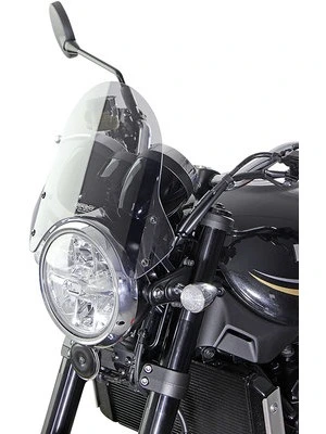 Sportscheibe, Rauchgrau