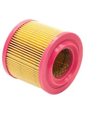 FILTRO DE AIRE CHAMPION