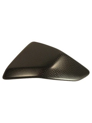 Carbon parts for Ducati Panigale 899/119