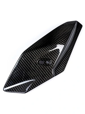 Hiilikuituosat, BMW S1000 R 2014 alkaen