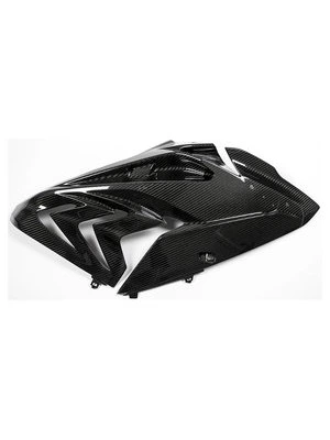 Pçs carb. p. BMW S1000 RR até 2018