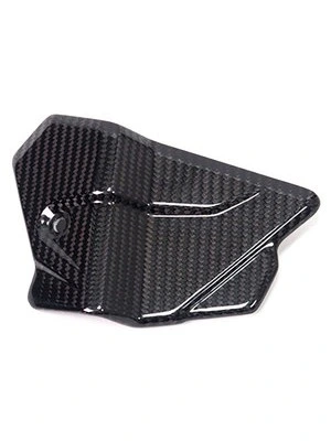 Carbon parts for BMW S1000 RR from 2019