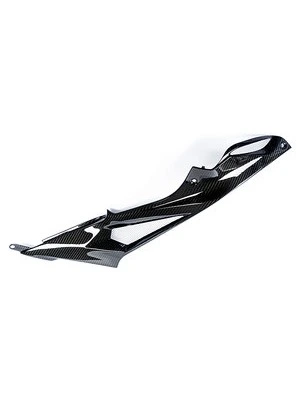 Carbonteile für BMW S1000 R