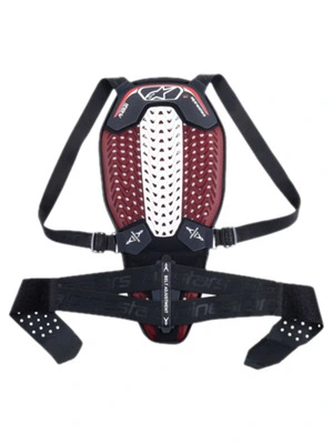 Paraschiena Nucleon Plasma