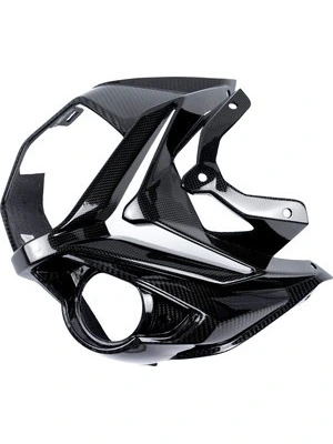 Carbonteile für BMW S1000 R