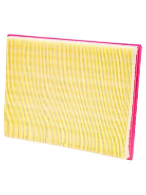 CHAMPION FÖR LUFTFILTER