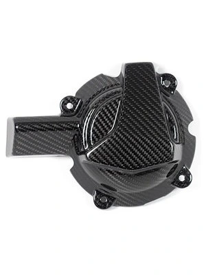 Carbon parts for BMW S1000 RR from 2019