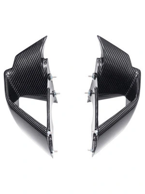 Carbon parts for BMW S1000 RR from 2019