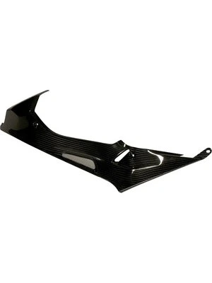 Carbononderd. v. BMW S1000 RR tot 2018