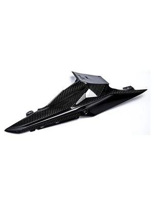 Carbonteile für BMW S1000 R