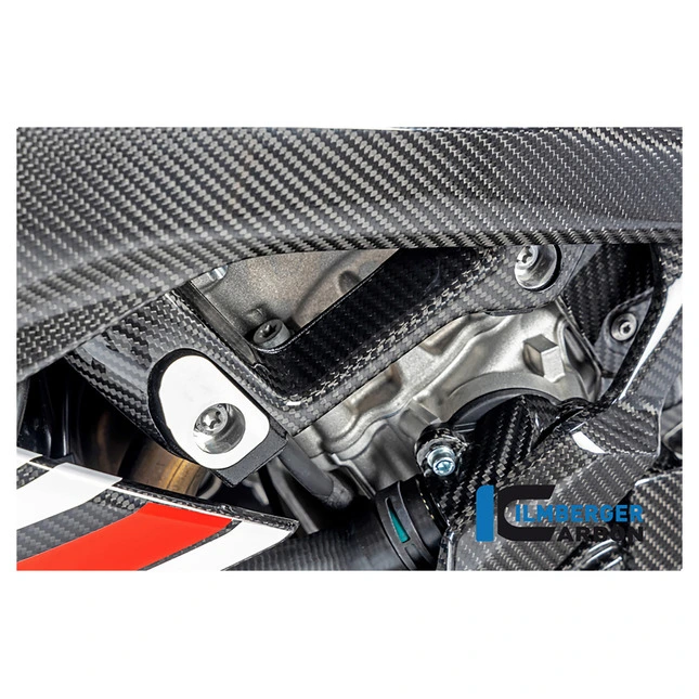 Ilmberger Carbonteile für BMW S1000 RR ab 2019