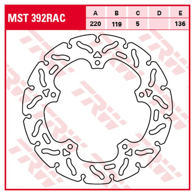 TRW Bremsscheiben Racing, Hinten, mit ABE