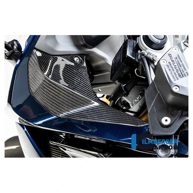 Ilmberger Carbonteile für BMW R1250 R/RS 19-
