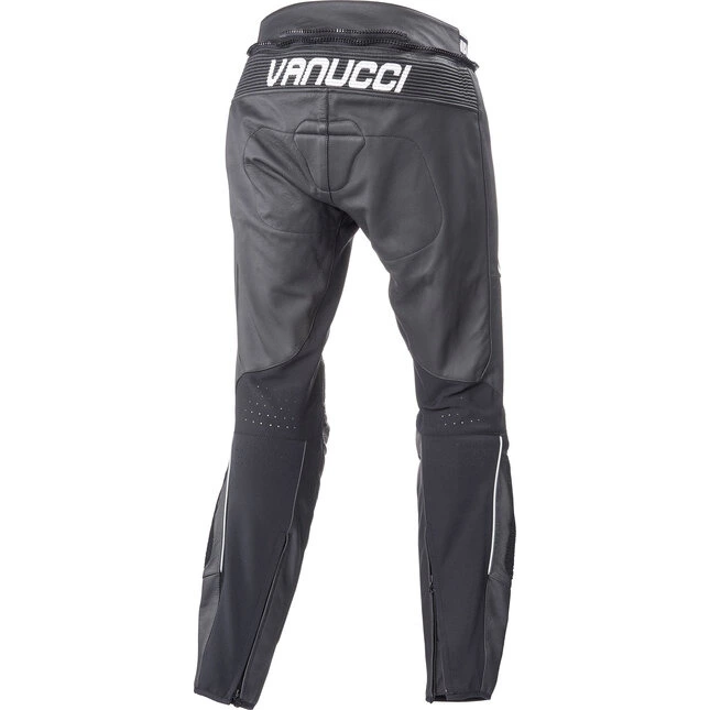 Vanucci Art XVII