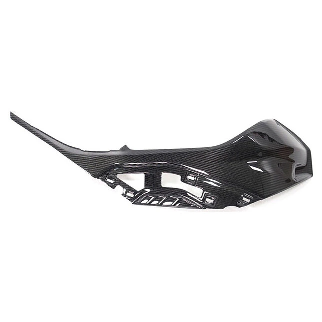 Ilmberger Carbonteile für BMW S1000 RR ab 2019