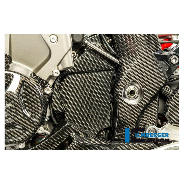 Ilmberger Carbonteile für BMW S1000 XR bis 2019