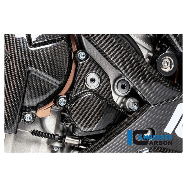 Ilmberger Carbonteile für BMW S1000 RR ab 2019