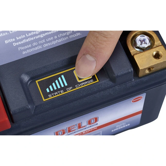 Delo Lithium-Ionen-Batterien