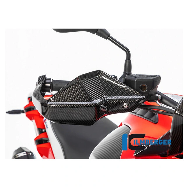 Ilmberger Carbonteile für BMW R1250 GS/Adventure
