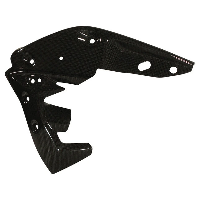 Ilmberger Carbonteile Triumph Speed Triple 11-15