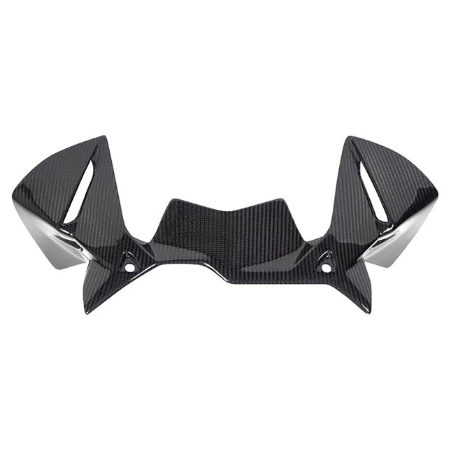 Ilmberger Carbonteile für BMW R1250 GS/Adventure