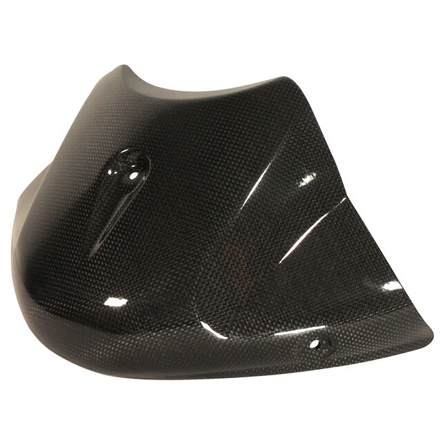 Ilmberger Carbonteile Triumph Speed Triple 11-15