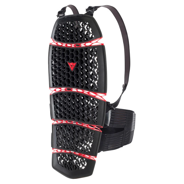 Dainese Pro-Armor 2.0 Back Lang