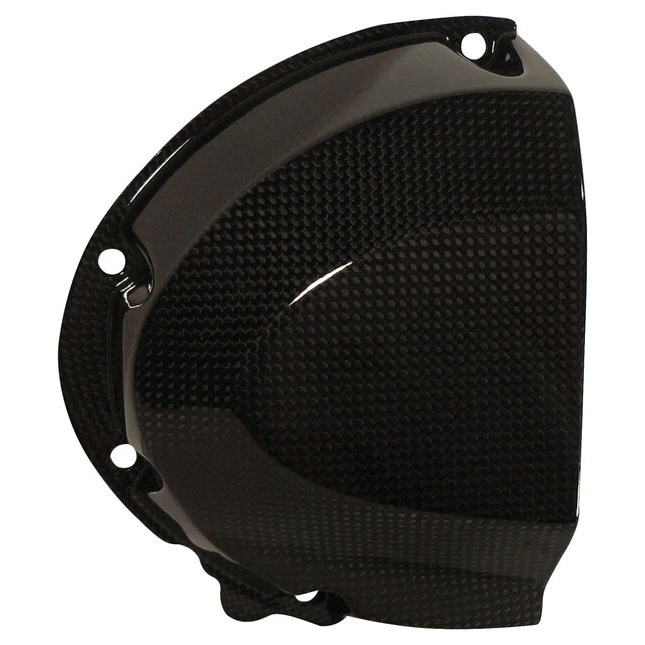 Ilmberger Carbonteile Triumph Speed Triple 11-15