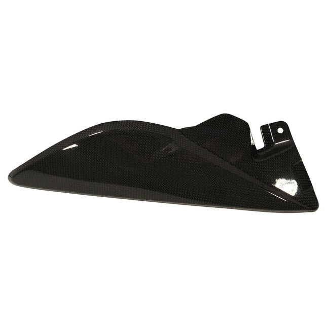 Ilmberger Carbonteile Triumph Speed Triple 11-15