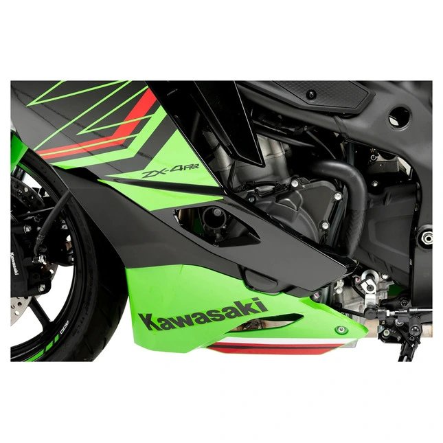 Puig Motorgehäuseschutz