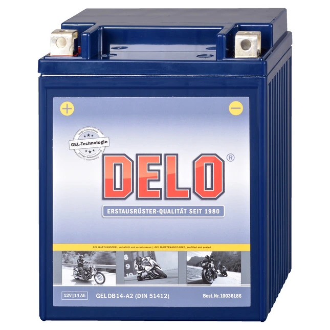 Delo Gel Batterie