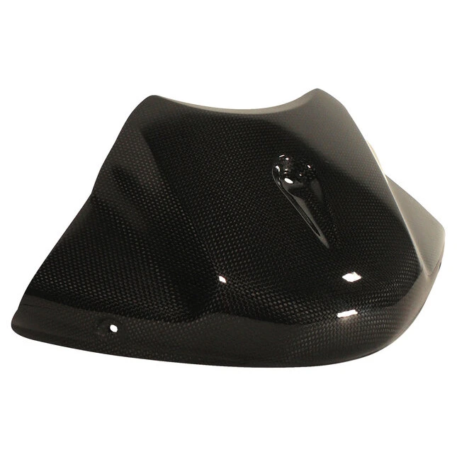 Ilmberger Carbonteile Triumph Speed Triple 11-15