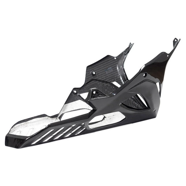 Ilmberger Carbonteile für BMW S1000 RR ab 2019