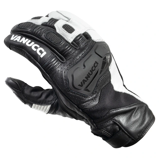 Vanucci VSG-4