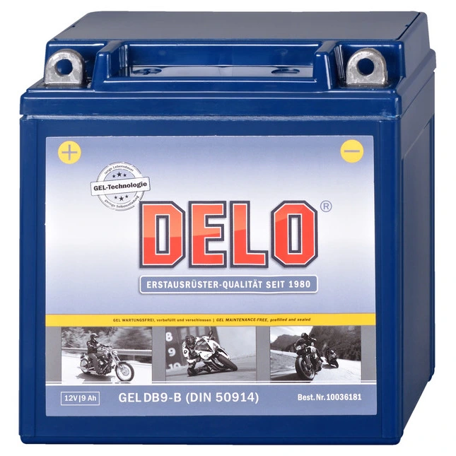 Delo Gel Batterie