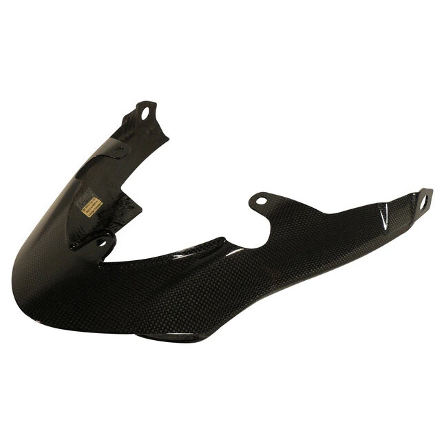 Ilmberger Carbonteile Triumph Speed Triple 11-15