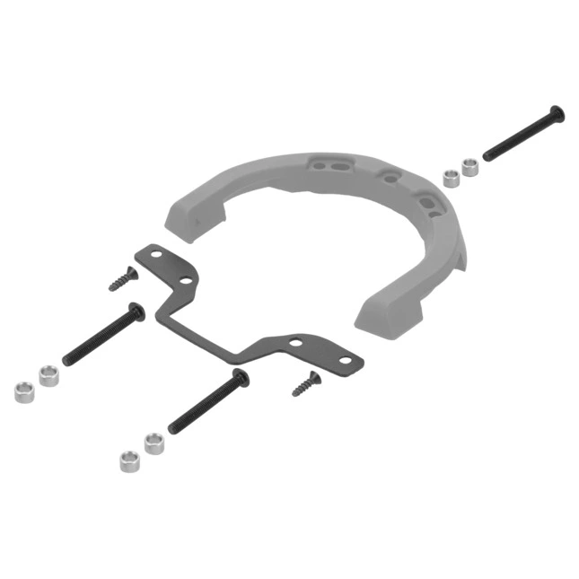 Shad Tankring