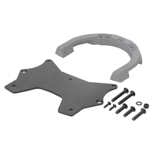 Shad Tankring