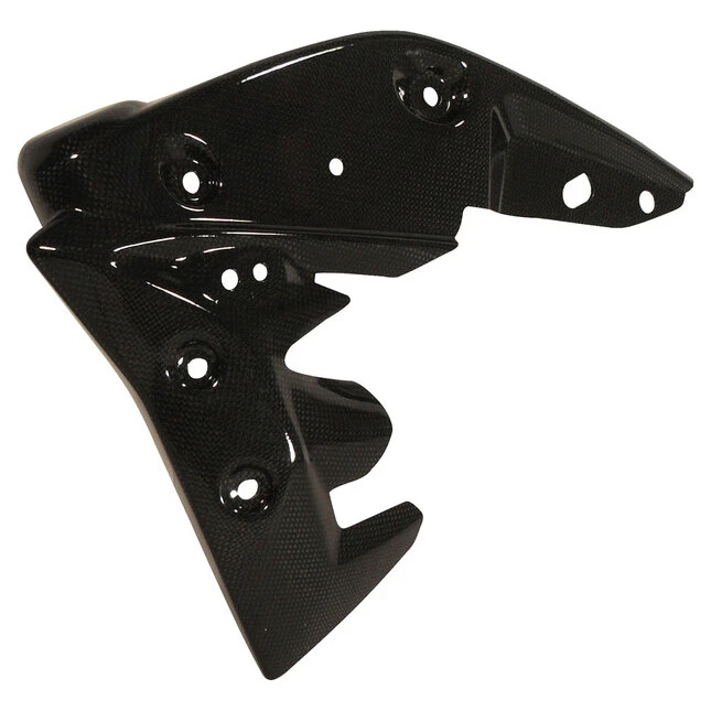 Ilmberger Carbonteile Triumph Speed Triple 11-15
