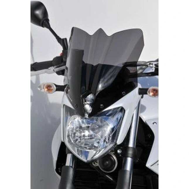 Ermax Naked Bike Scheibe