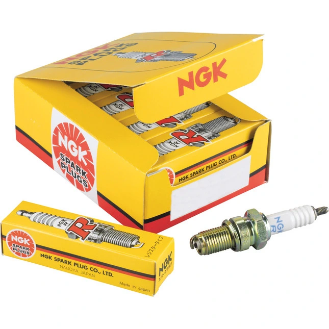 NGK Zündkerzen Set, 10Er Packung